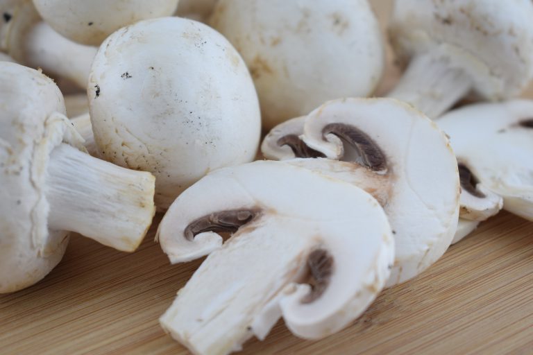 witte champignon van Agaricus b.v. Sevenum